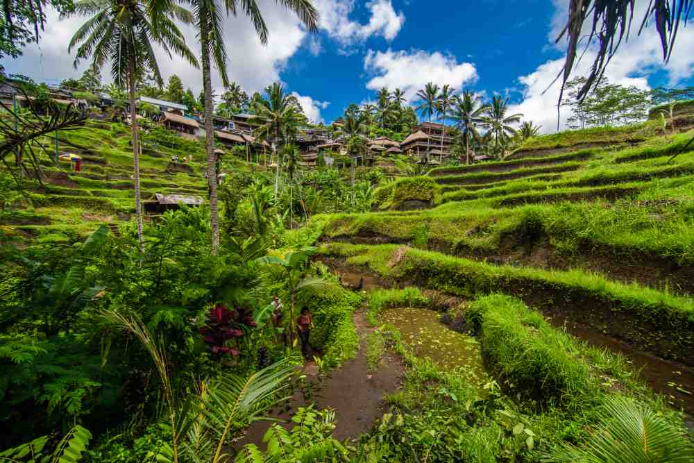 Ubud Bali