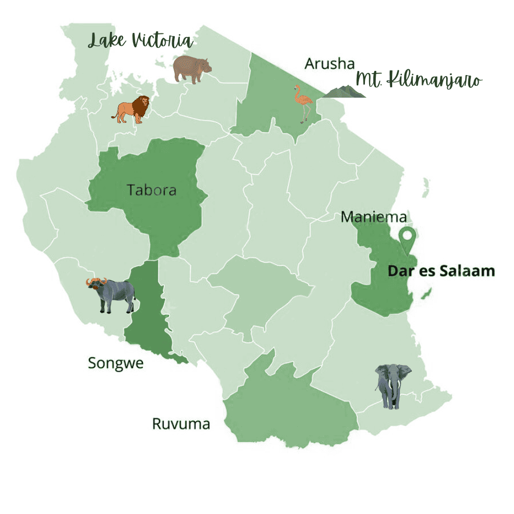 Tanzania Travel Guide