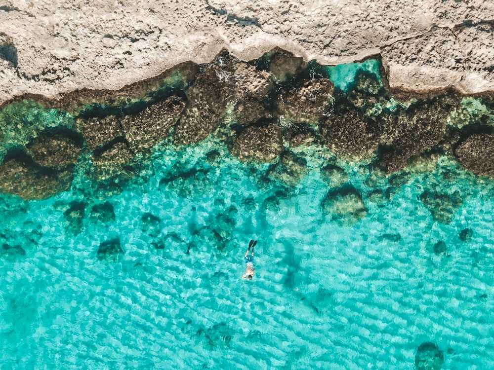 Snorkeling in Aruba