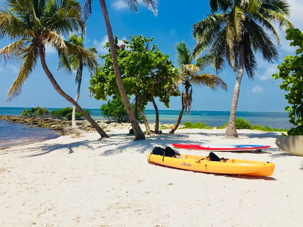 a couple of surfboards sitting on top of a sandy beach at Key West, Florida