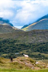 10 Best Hikes in Europe for Beginners