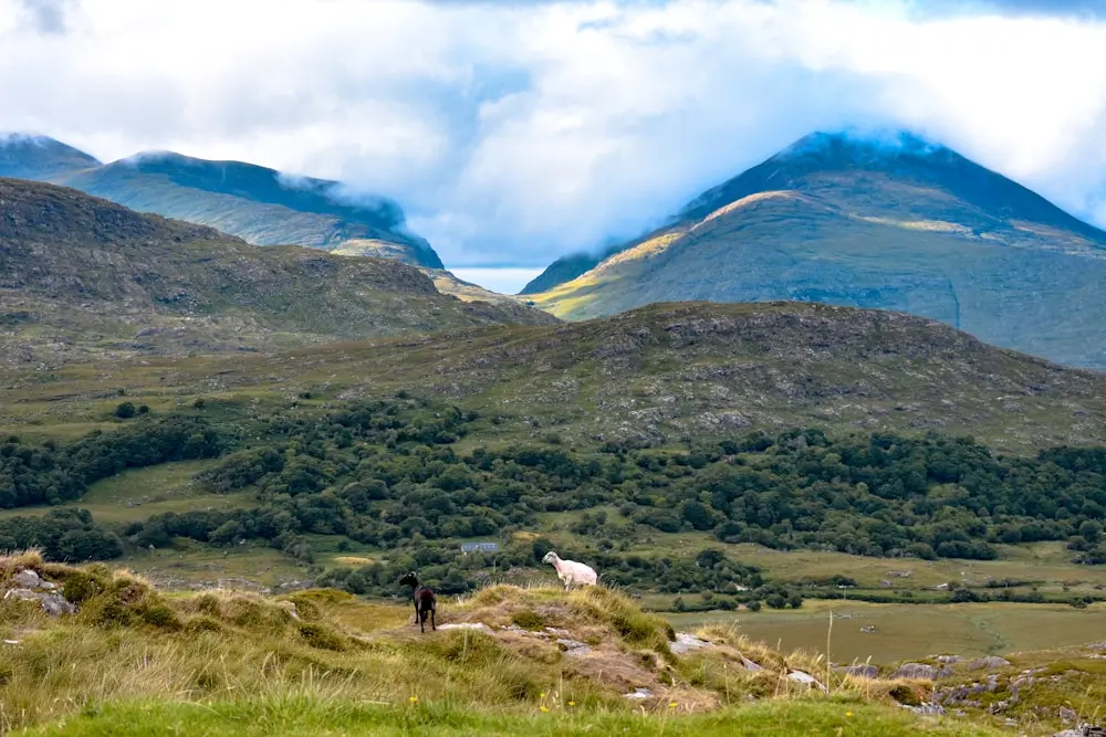 Killarney National Park
