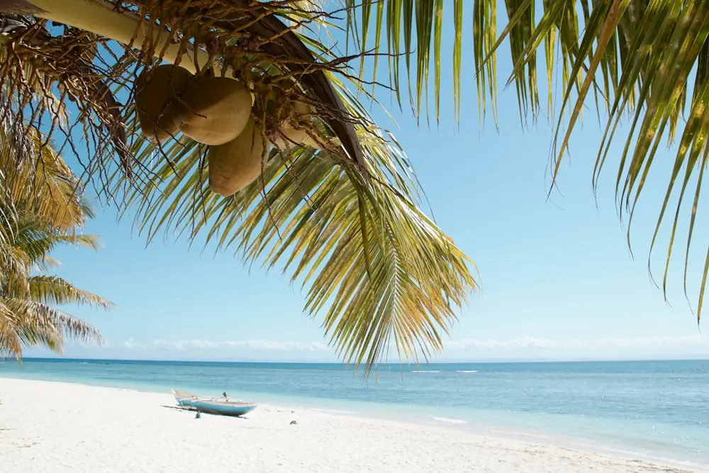 white and black boat on beach during daytime on Madagascar