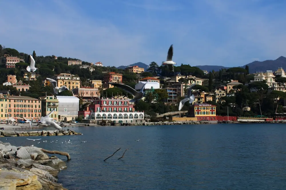 Santa Margherita Ligure Harbour