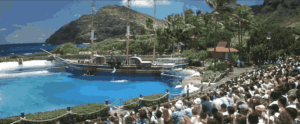 50 First Dates Filming Locations