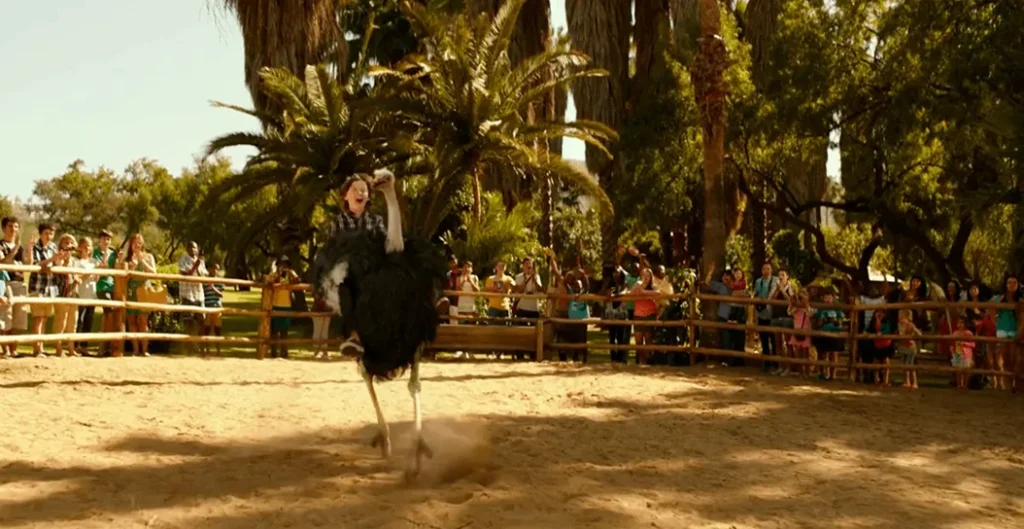 Blended Ostrich riding