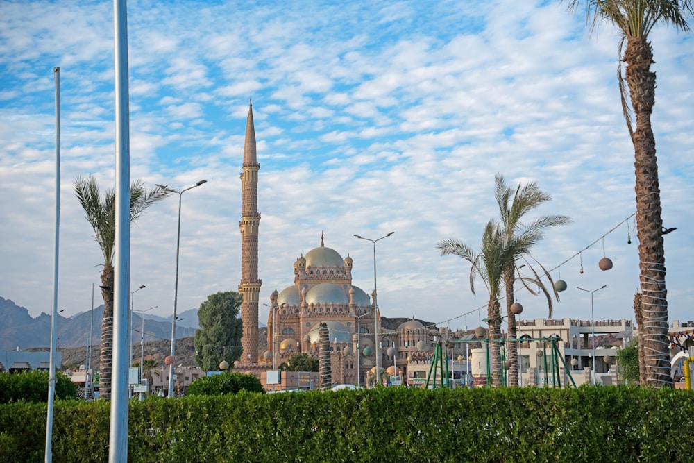 A view of Al Sahaba mosque in the middle of palm trees