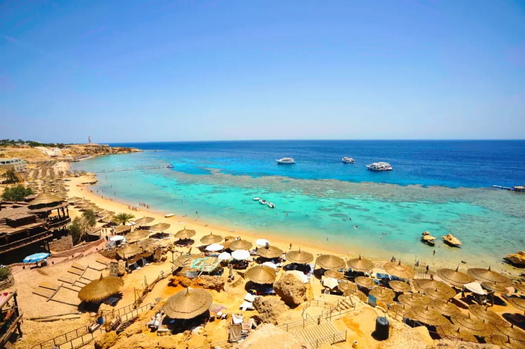 Naama Bay Snorleking