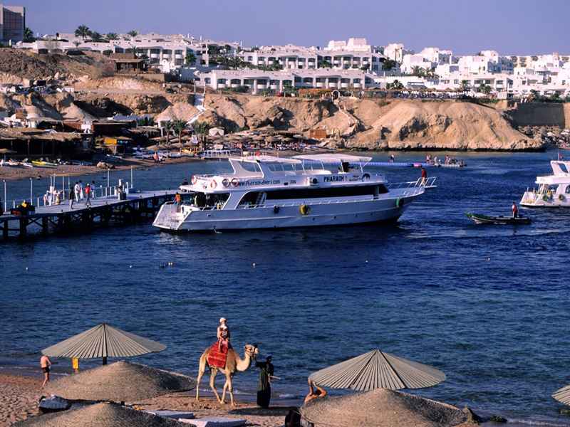 Sharks Bay Egypt