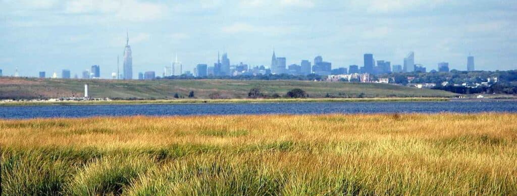 Manhattan skyline from Jamaica bay Wildlife refuge.
