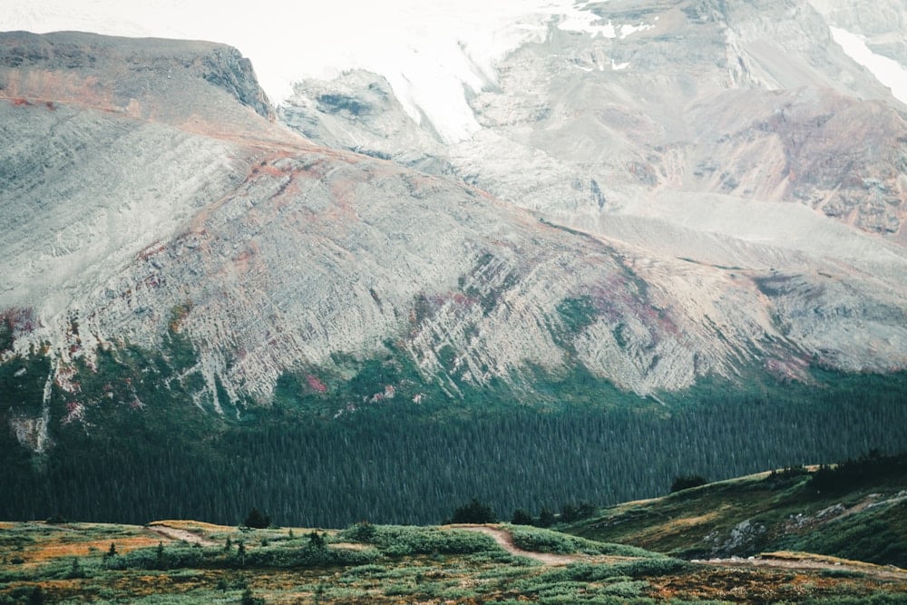The icefield of Jasper National Park, daytime in Canadian Rockies, Alberta
