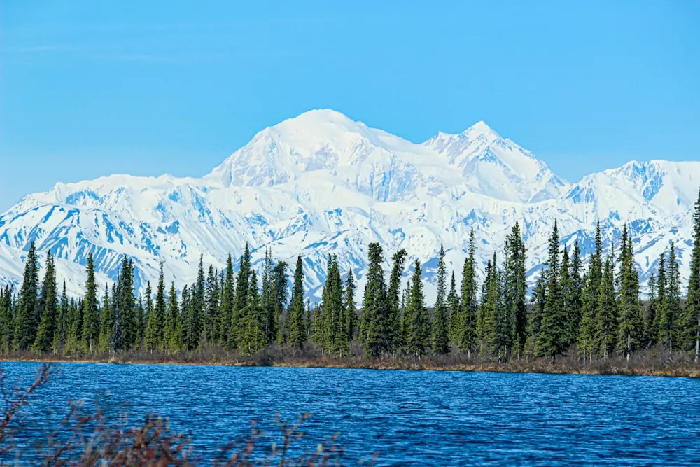 Denali National Park
