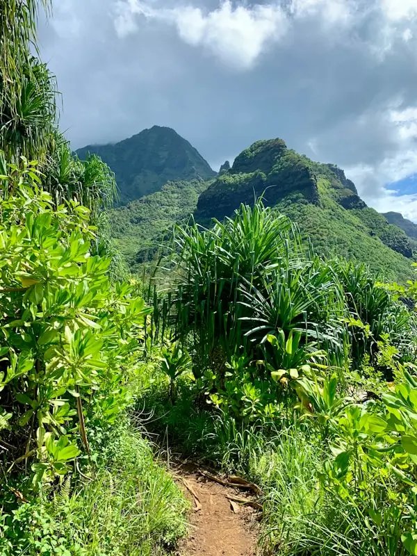 Kauai hiking trail