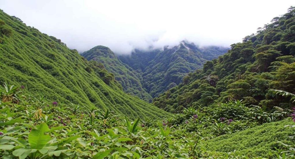Kokoda Track scenery, Papua New Guinea