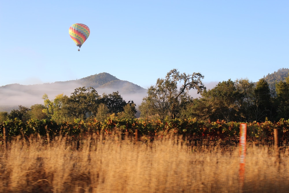 hot air balloon on under blue sky in Napa Valley during daytime