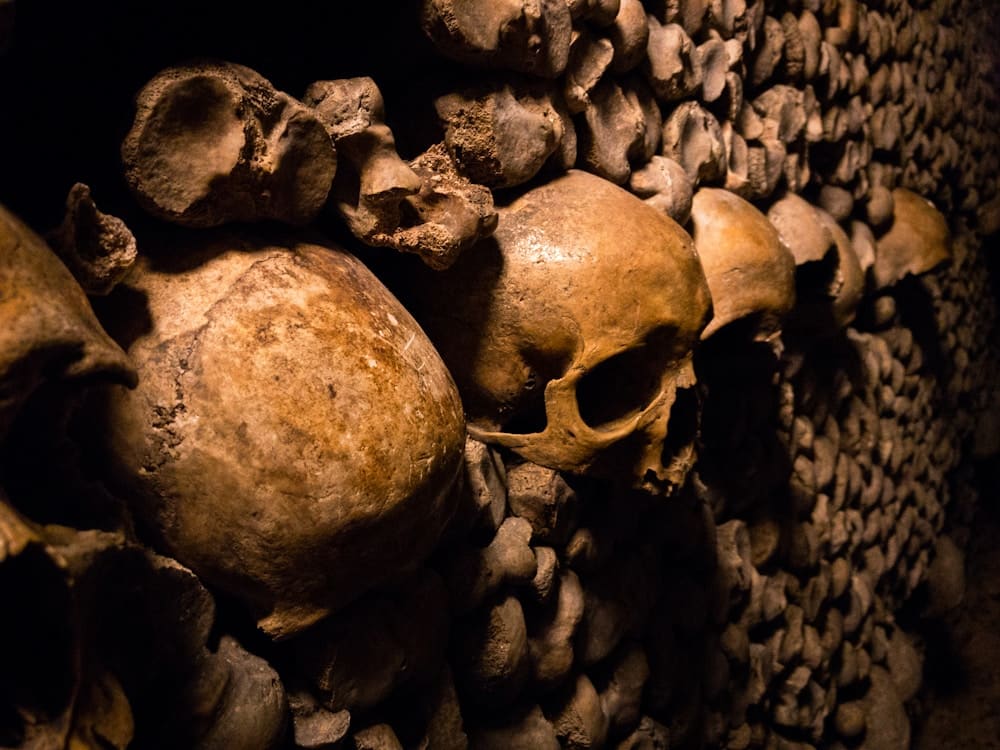 skeleton skulls in Paris Catacombs
