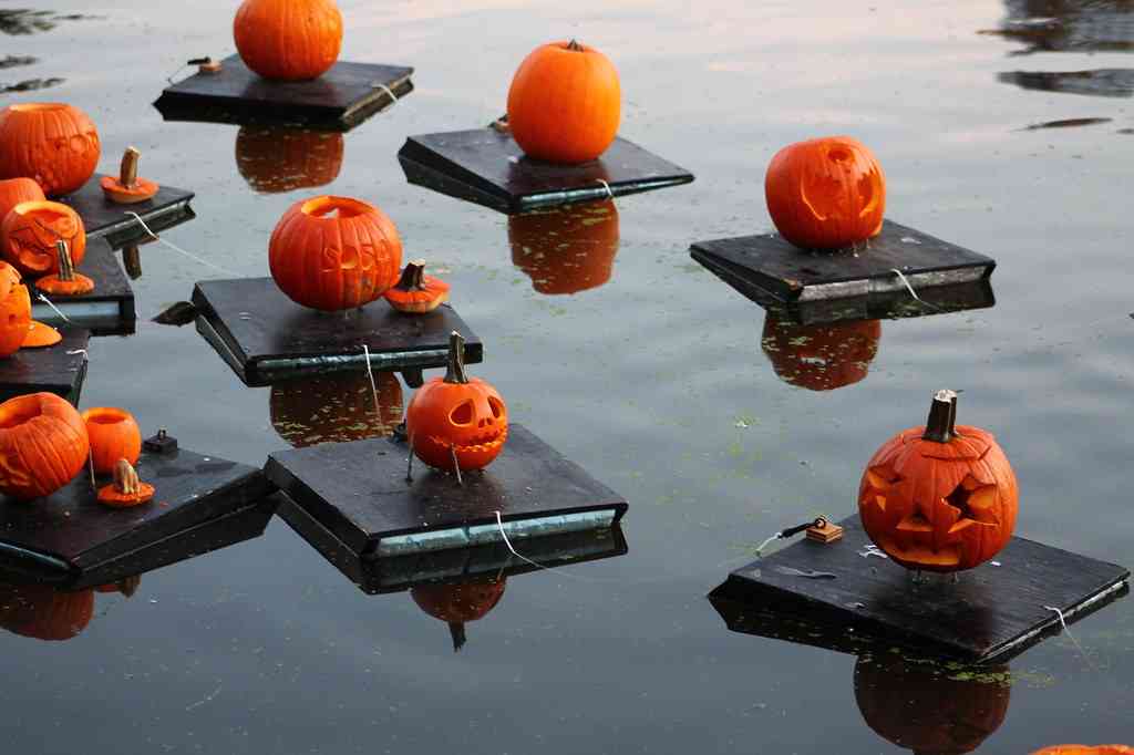 Pumpkin Sail at Central Park
