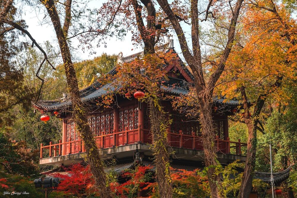 brown wooden Chinese house surrounded by trees | fall in China