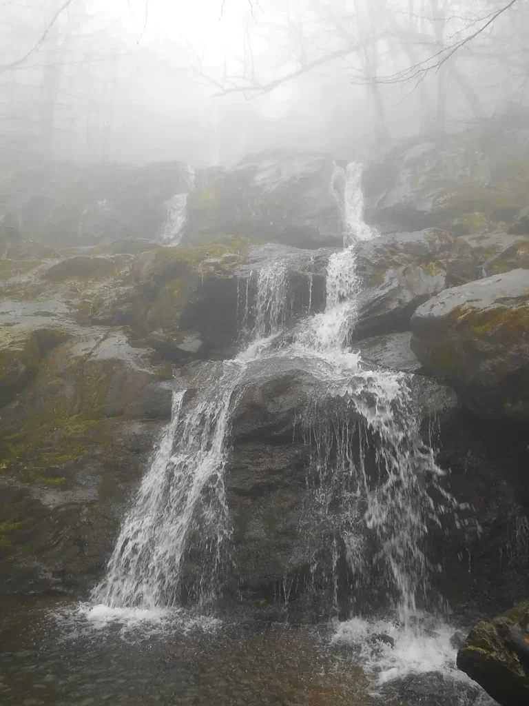 Dark Hollow Falls in the fog
