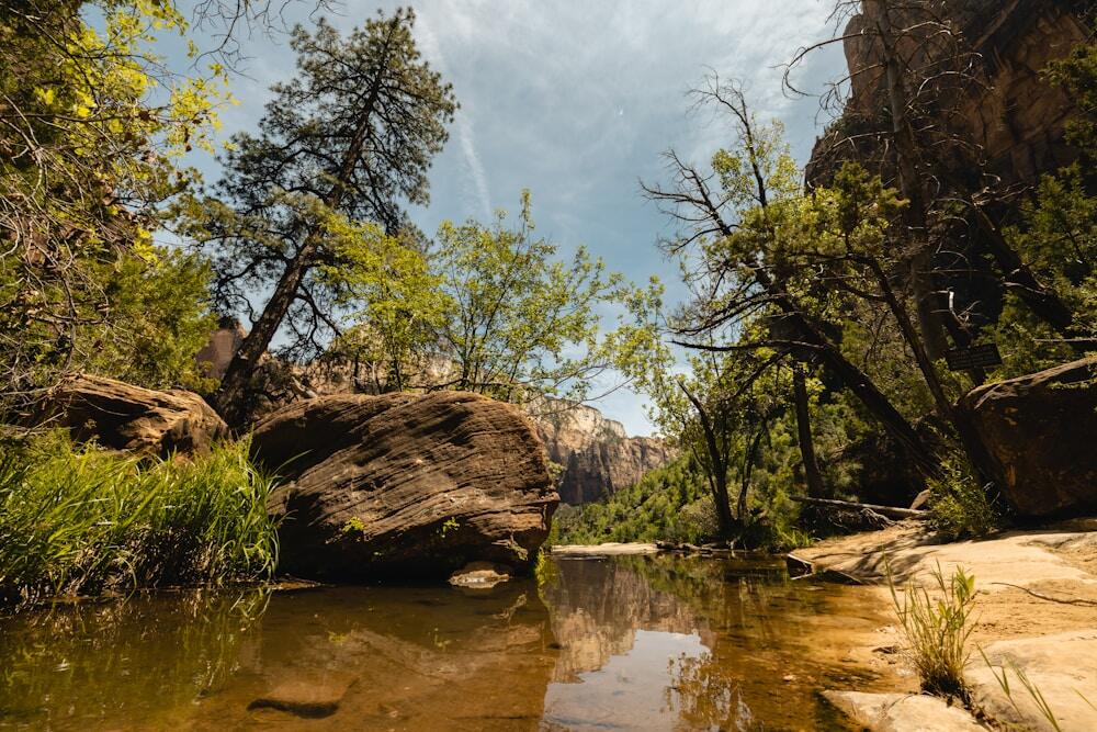 Middle Emerald Pools in Zion National Park.