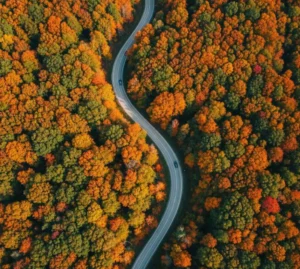 15 Fall Road Trip Ideas In The United States