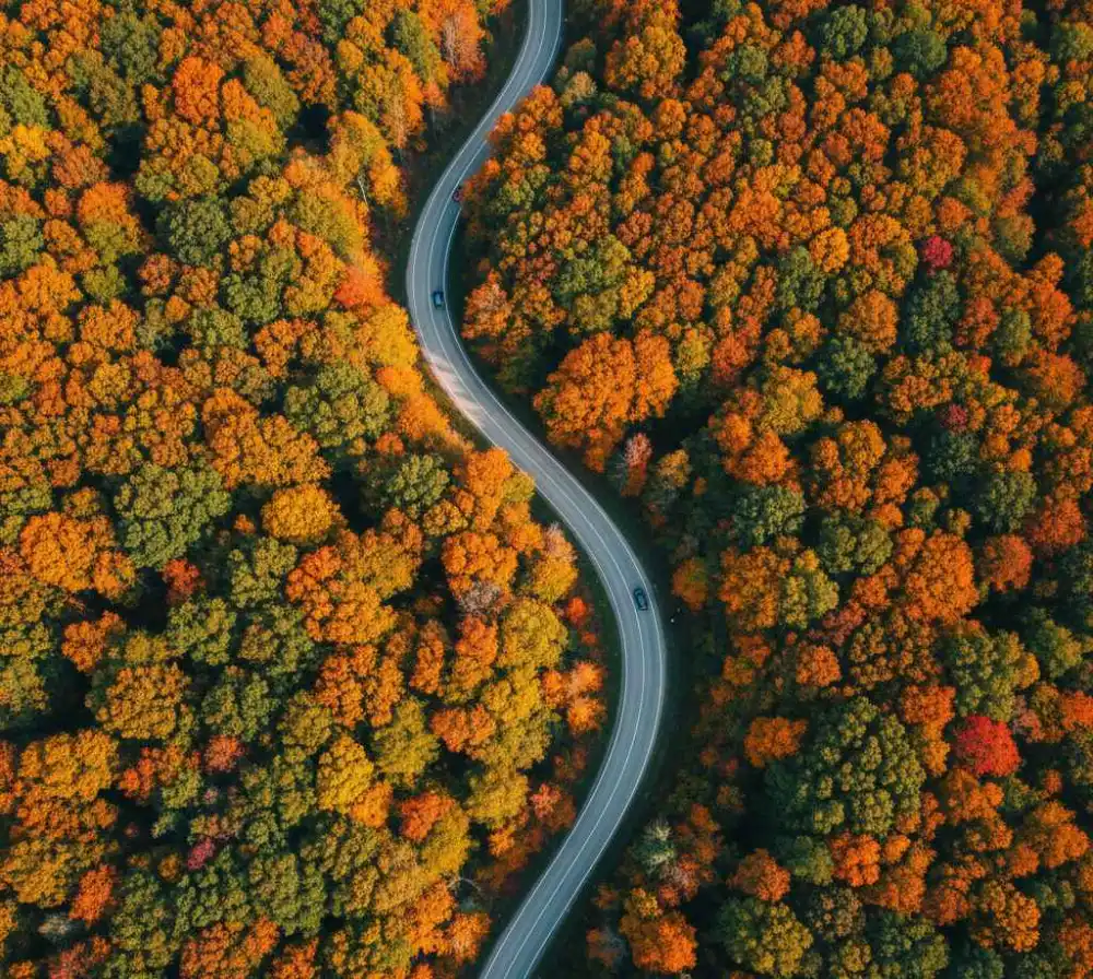 Best fall road trips ideas in the US
