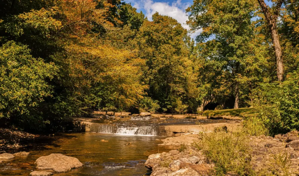 Gulpha Gorge