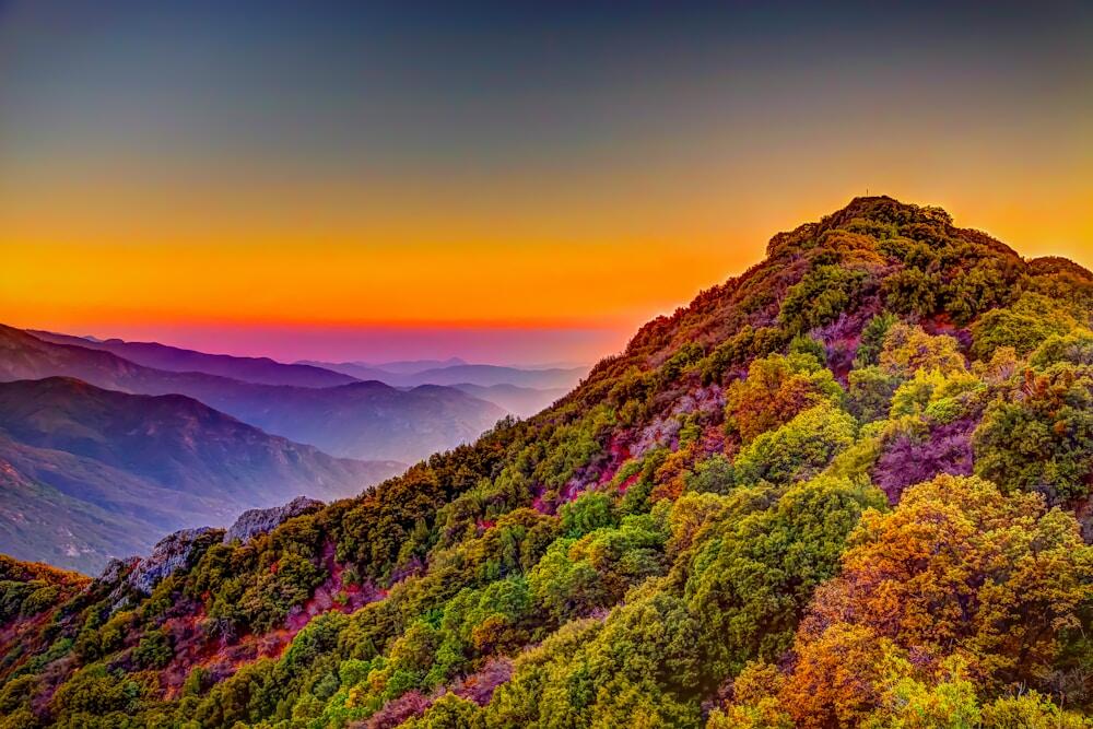 Sequoia National Park