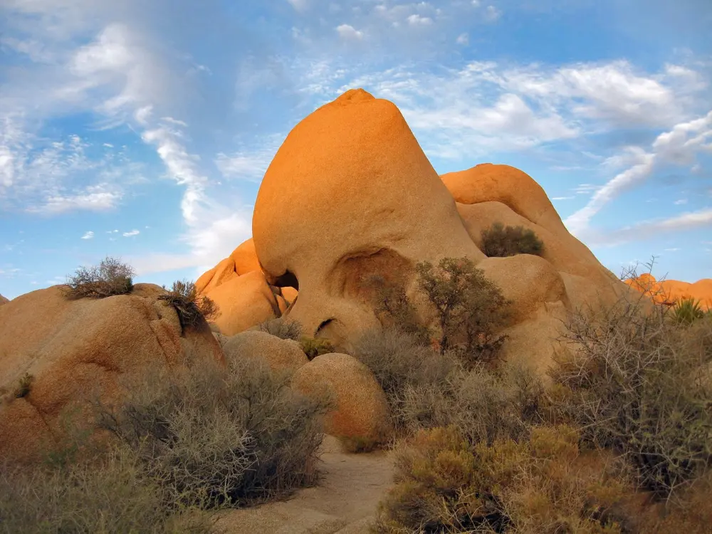Skull-shaped rock formation surrounded by small brush, with a blue sky in the background. Photo: NPS / Robb Hannawacker Skull Rock during the golden hour.