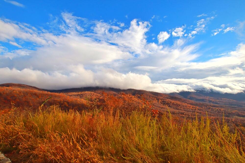Skyline Drive