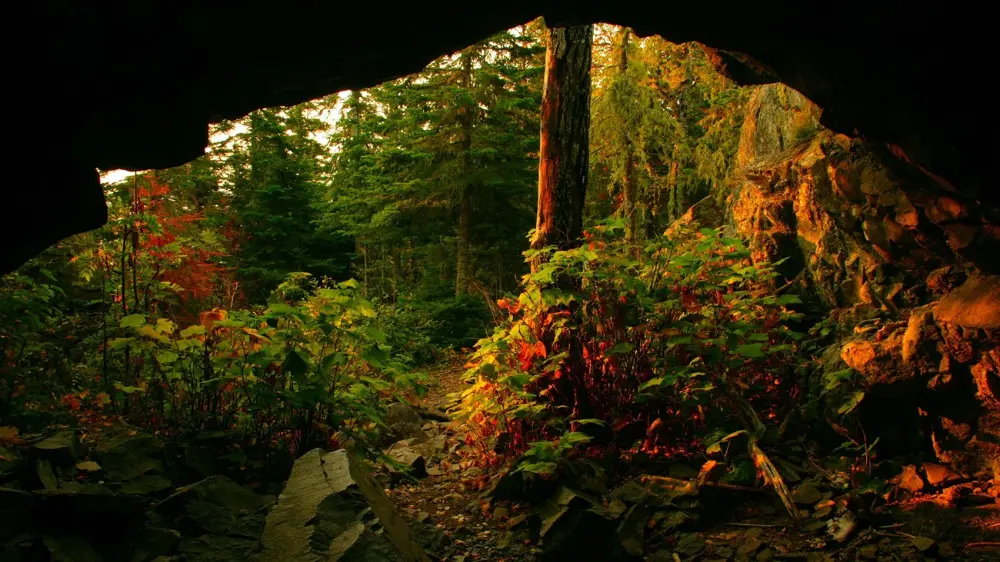 Sun beams fall upon vegetation just outside Suzy’s Cave.