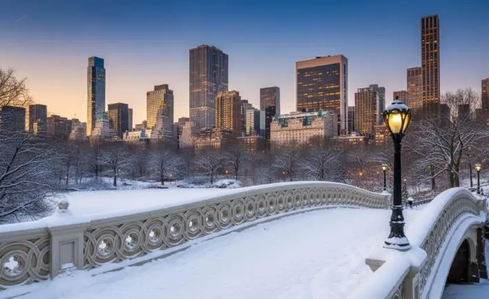 Central Park, NYC in winter