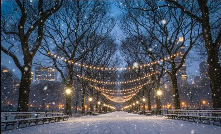 The Mall and Literary Walk in winter