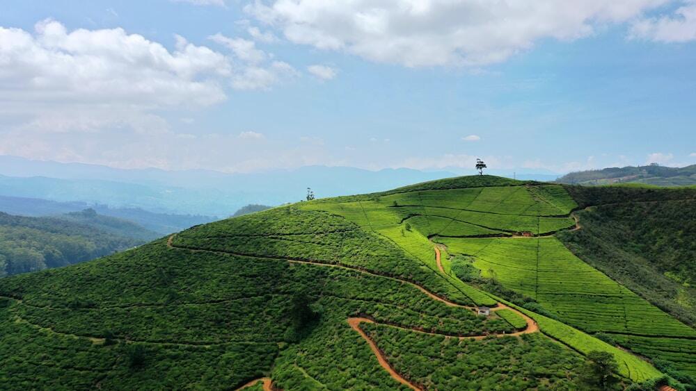 Sri lanka tea hills of Nuwara Eliya