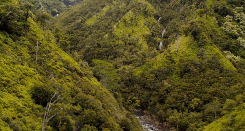The Jungle Trek and the river featured are most likely shot in Kilauea area as well