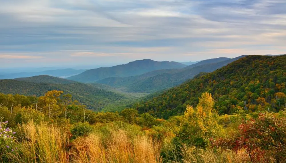 Shenandoah national park in spring