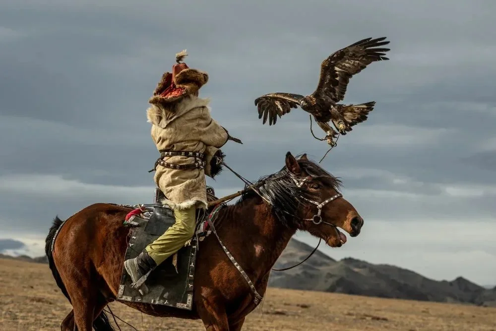 Eagle hunter at Mongolia Golden Eagle Festival
