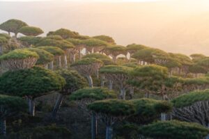 25 Most Underrated Travel Destinations in 2026