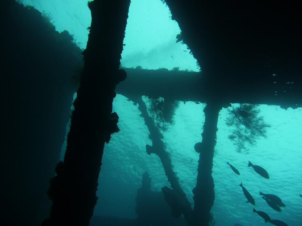 USAT Liberty wreck