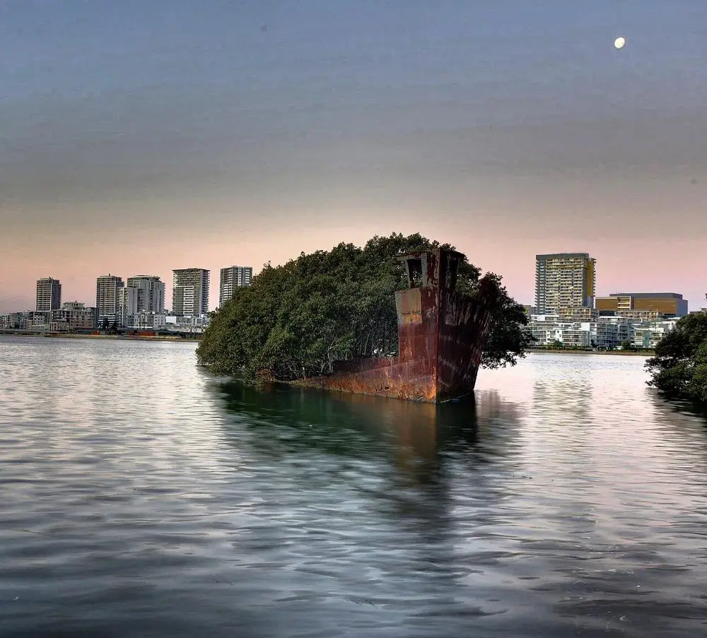 SS Ayrfield Shipwreck Homebush Bay Nsw Australia